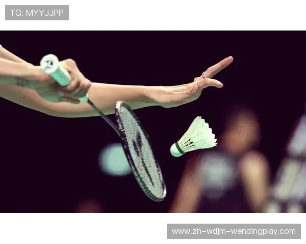 羽毛球球速30 羽毛球球速30