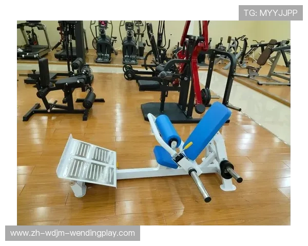 臀部锻炼健身器材推荐与使用技巧